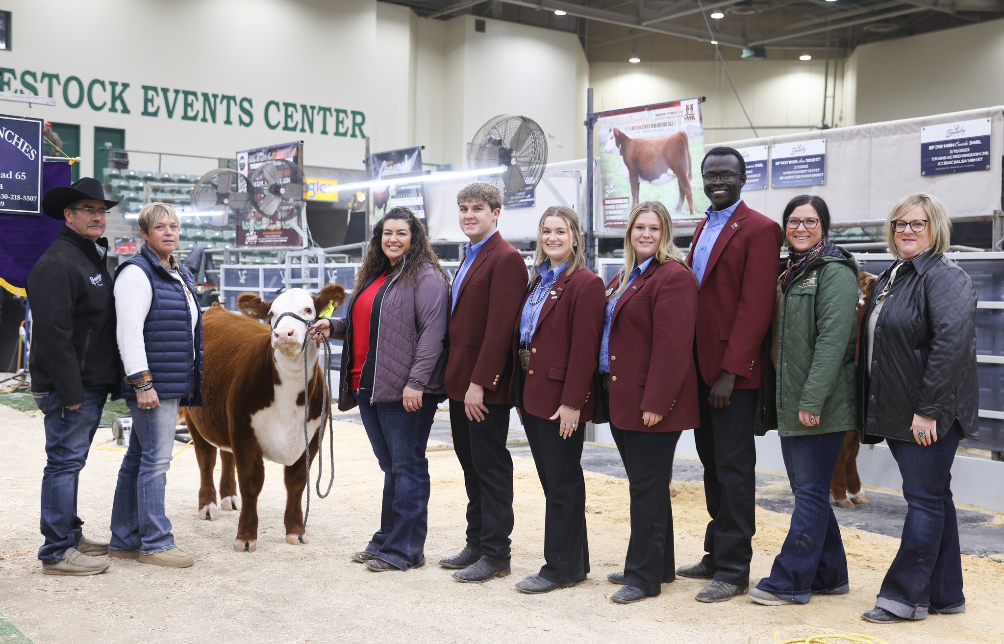 Foundation 1 Lot Tops Western States Hereford Sale